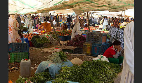 Marokko (Morocco)