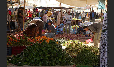 Marokko (Morocco)