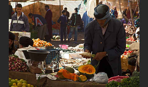 Marokko (Morocco)