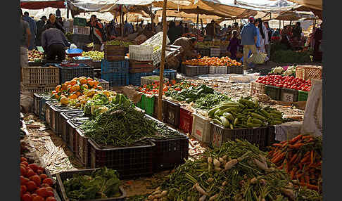 Marokko (Morocco)