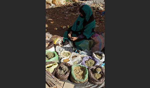 Marokko (Morocco)