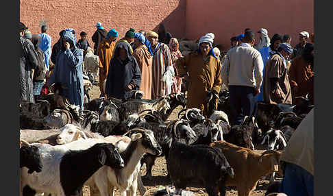 Marokko (Morocco)