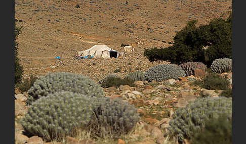 Marokko (Morocco)