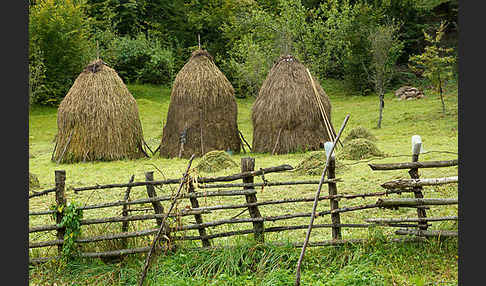 Rumänien (Romania)