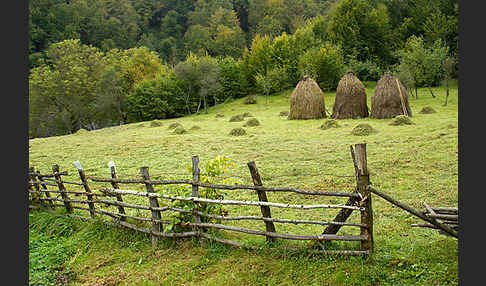 Rumänien (Romania)