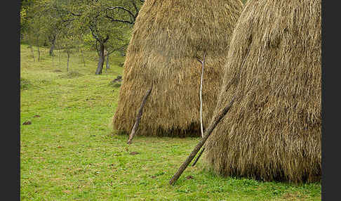 Rumänien (Romania)