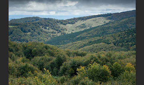 Rumänien (Romania)