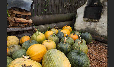 Rumänien (Romania)