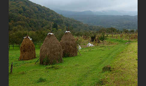 Rumänien (Romania)