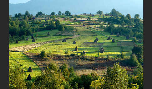 Rumänien (Romania)