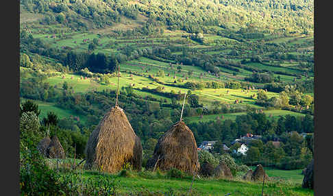 Rumänien (Romania)