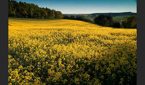 Thüringen (Thuringia)