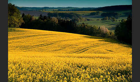 Thüringen (Thuringia)