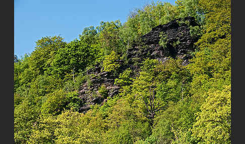 Thüringen (Thuringia)