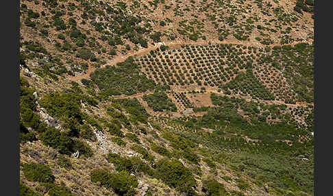 Griechenland (Greece)