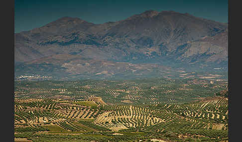 Griechenland (Greece)