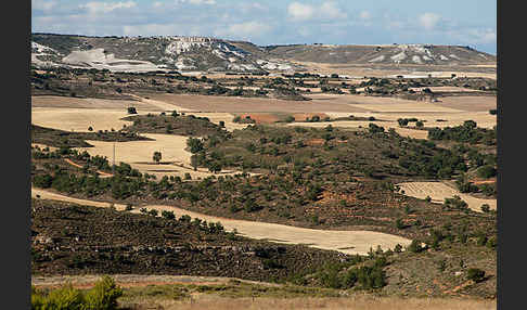 Spanien (Spain)