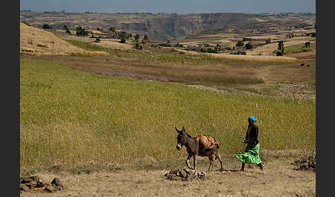 Aethiopien (Ethiopia)