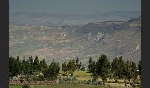 Aethiopien (Ethiopia)