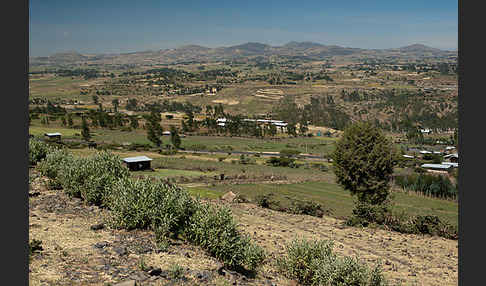 Aethiopien (Ethiopia)