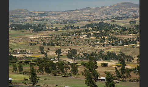 Aethiopien (Ethiopia)