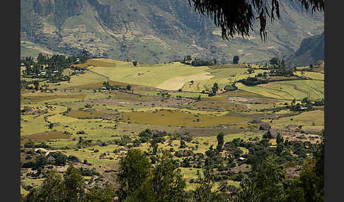 Aethiopien (Ethiopia)