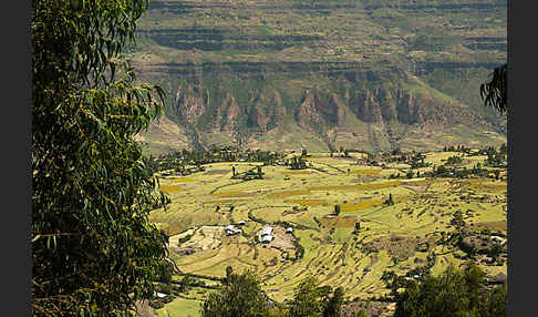 Aethiopien (Ethiopia)