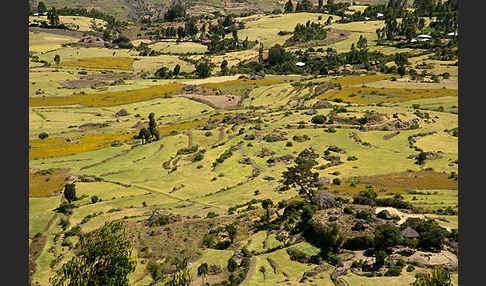 Aethiopien (Ethiopia)