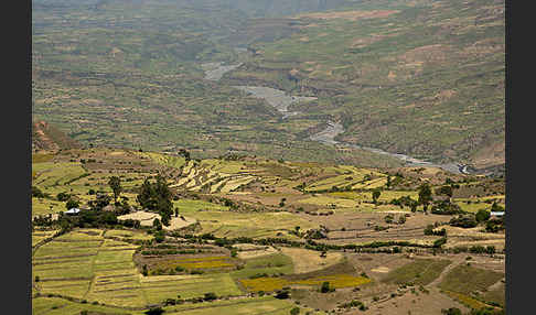 Aethiopien (Ethiopia)