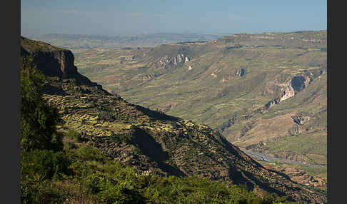 Aethiopien (Ethiopia)