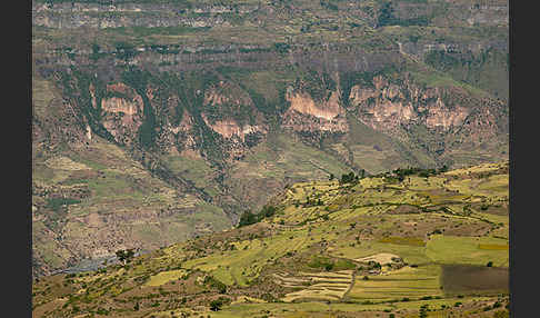 Aethiopien (Ethiopia)