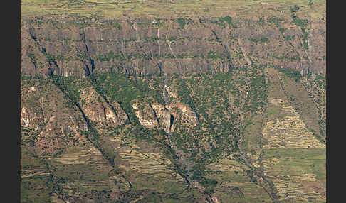 Aethiopien (Ethiopia)