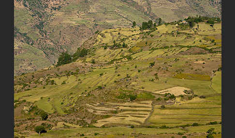 Aethiopien (Ethiopia)