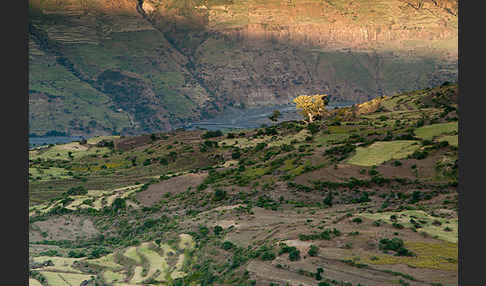 Aethiopien (Ethiopia)