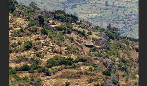 Aethiopien (Ethiopia)