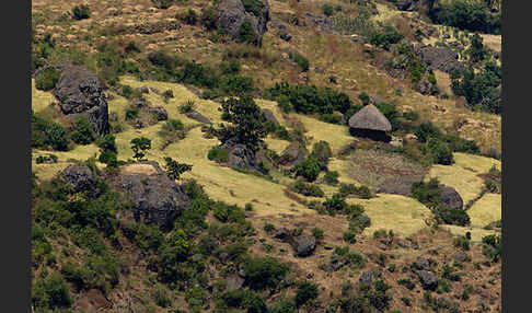 Aethiopien (Ethiopia)