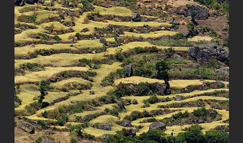 Aethiopien (Ethiopia)