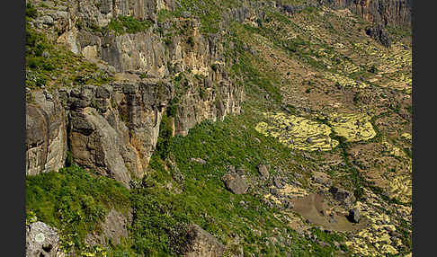 Aethiopien (Ethiopia)