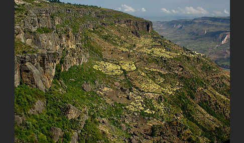 Aethiopien (Ethiopia)