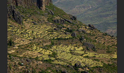 Aethiopien (Ethiopia)