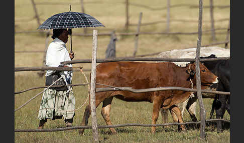 Aethiopien (Ethiopia)