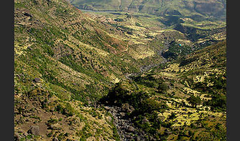 Aethiopien (Ethiopia)