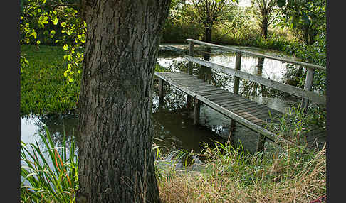 Kulturlandschaft (cultivated landscape)