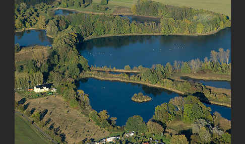 Thüringen (Thuringia)