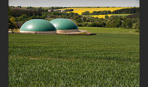 Intensive Landwirtschaft (industrial agriculture)