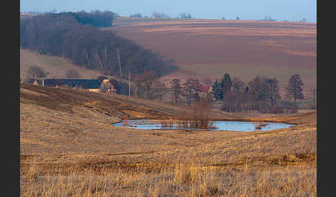 Thüringen (Thuringia)