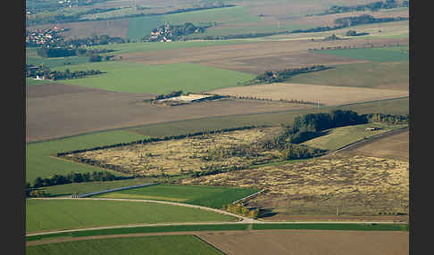 Thüringen (Thuringia)