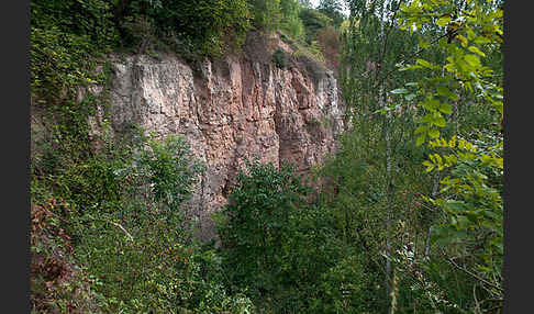 Thüringen (Thuringia)