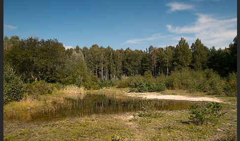 Thüringen (Thuringia)