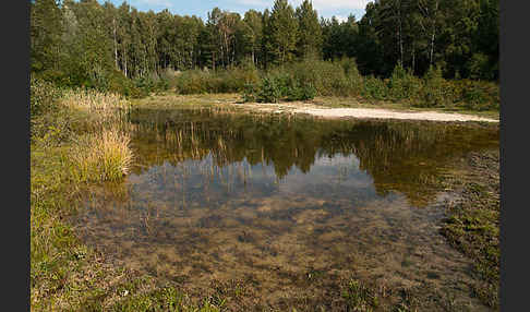 Thüringen (Thuringia)